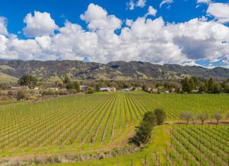 wineries for sale in Napa Valley