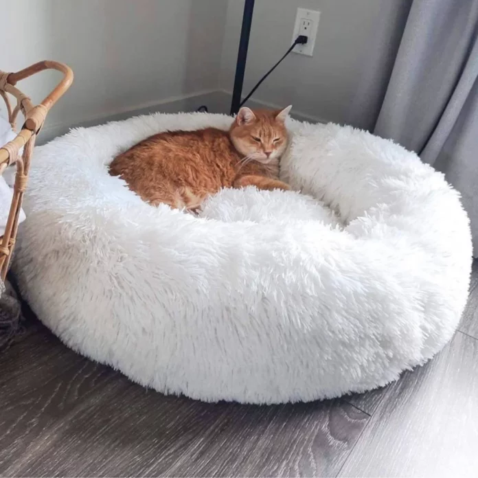 Cloud 7 Cat Bed
