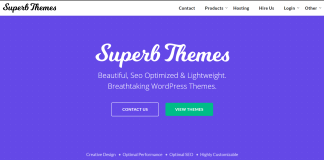 superb themes review
