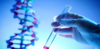 Researchers identify 275 mln new genetic variants: Study