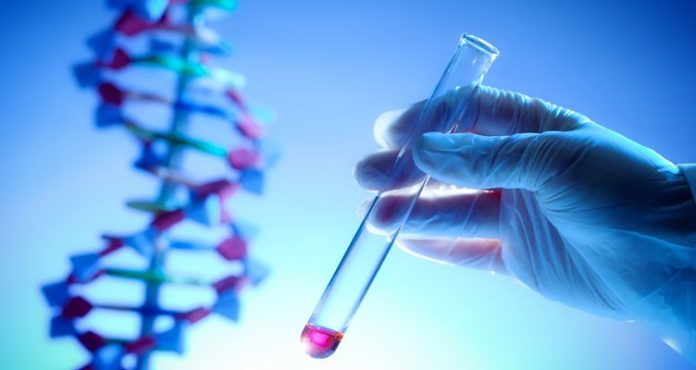 Researchers identify 275 mln new genetic variants: Study