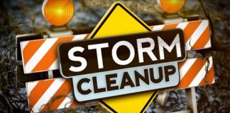Storm Cleanup