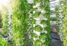 Hydroponics farming