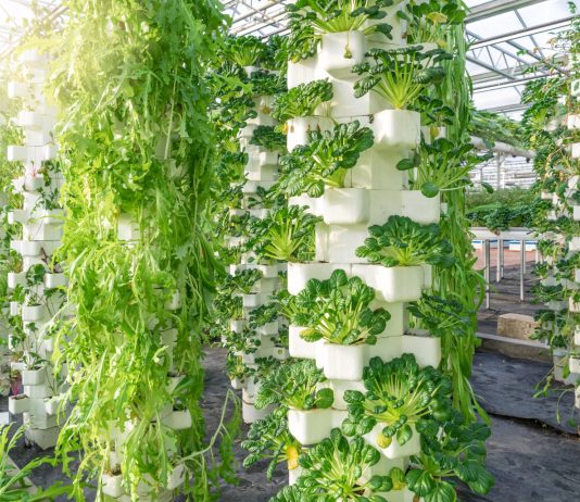 Hydroponics farming