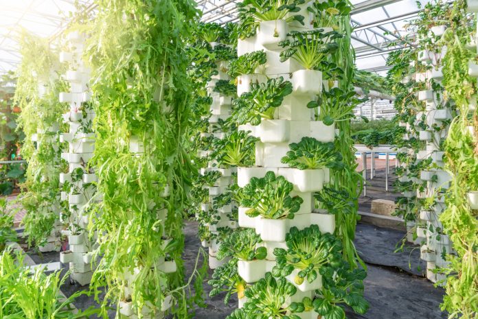 Hydroponics farming