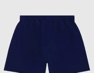 spider-sp5der-og-web-logo-shorts-navy-1-300x300 (2)