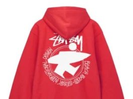 stussy hoodie