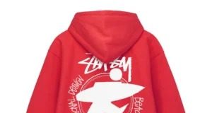 stussy hoodie